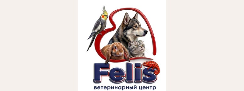 Пример работы 6